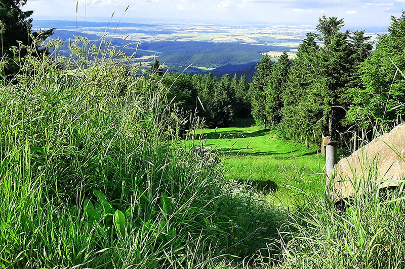 Pure nature - the Thuringian Forest. Photo: LEG Thüringen/Gerlach Pure nature - the Thuringian Forest. Photo: LEG Thüringen/Gerlach