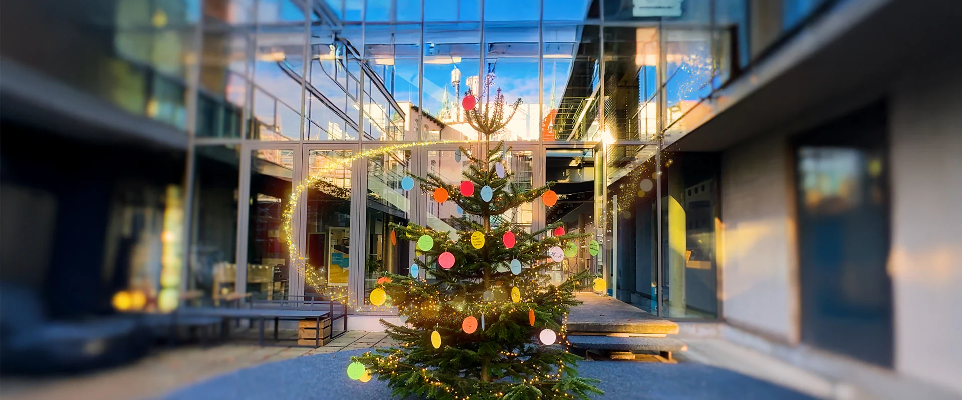 Bildbeschreibung / description: